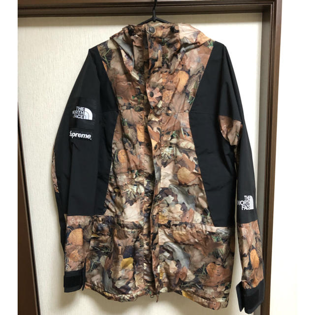 Supreme(シュプリーム)の【美品】16aw leaves mountain light jacket M メンズのジャケット/アウター(マウンテンパーカー)の商品写真