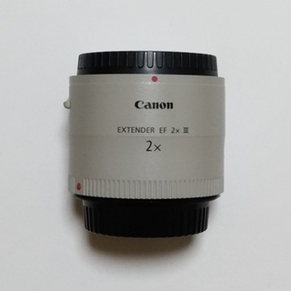 キヤノン(Canon)のCanon Extender EF 2× Ⅲ(レンズ(単焦点))