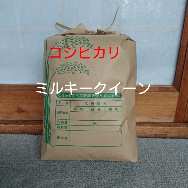 農家直送  白米5㎏ 食品/飲料/酒の食品(米/穀物)の商品写真