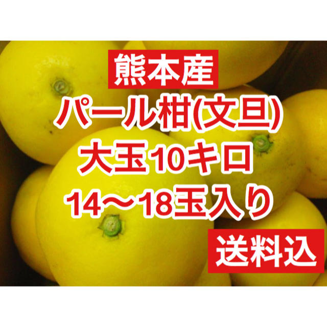 熊本産  大玉パール柑(文旦) 14玉〜18玉 約10キロ  送料込 食品/飲料/酒の食品(フルーツ)の商品写真