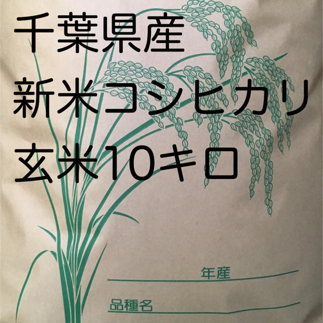 コシヒカリ玄米10キロ 食品/飲料/酒の食品(米/穀物)の商品写真