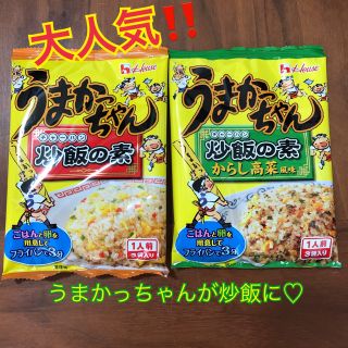 ハウスショクヒン(ハウス食品)のうまかっちゃん  炒飯の素  ノーマルとからし高菜(インスタント食品)