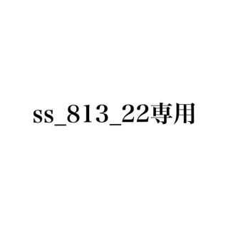 ss_813_22(その他)