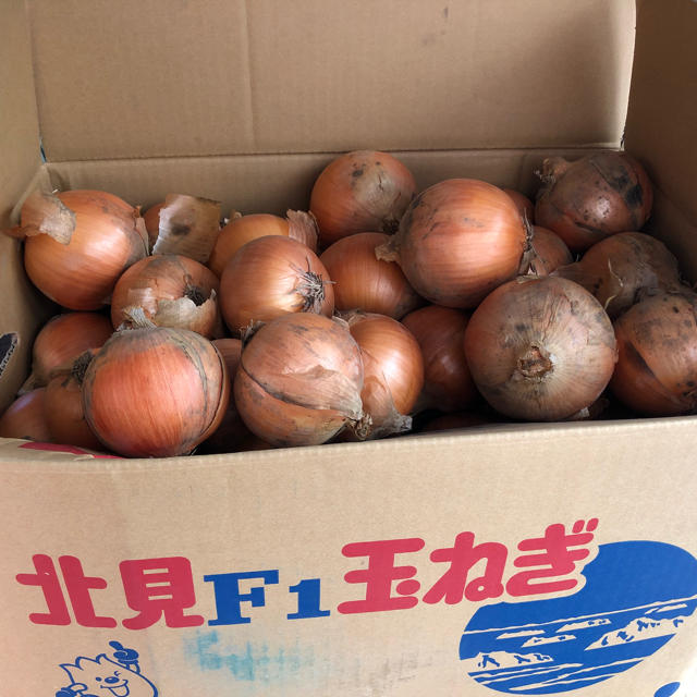 大人気！玉ねぎ生産量日本一！北海道北見産 送料無料 食品/飲料/酒の食品(野菜)の商品写真