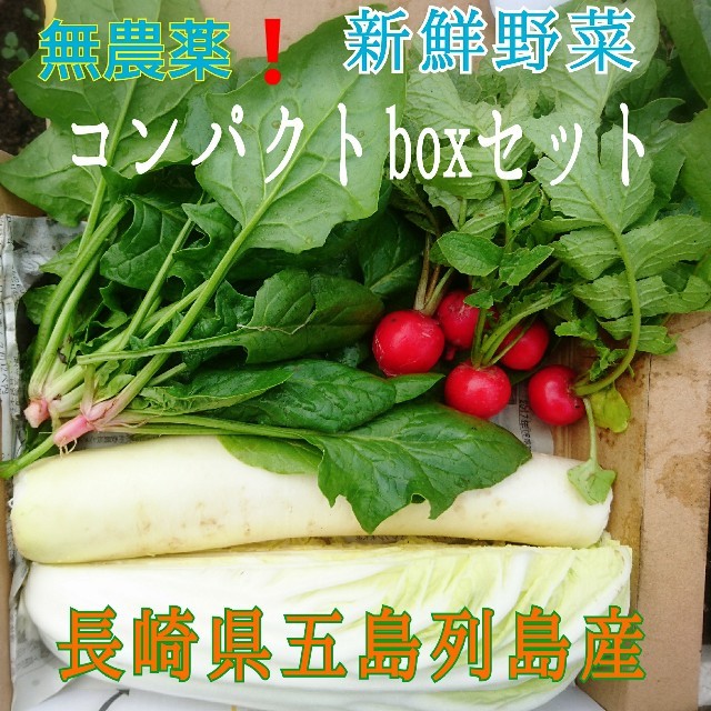 無農薬❗新鮮野菜セット(コンパクトbox) 長崎県五島列島産 食品/飲料/酒の食品(野菜)の商品写真