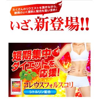 フォースコリーの代用に コレウスフォルスコリ 3ヶ月分 ダイエットサプリです(ダイエット食品)