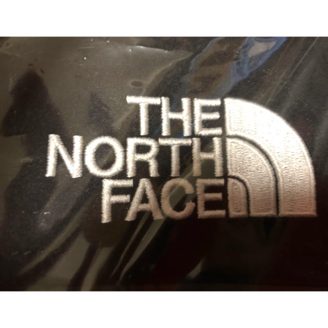 THE NORTH FACE(ザノースフェイス)のノースフェイス マウンテンライトジャケット レディース Ｌサイズ ニュートープ レディースのジャケット/アウター(ナイロンジャケット)の商品写真