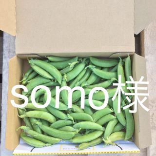 鹿児島産スナップエンドウ500g^_^(野菜)