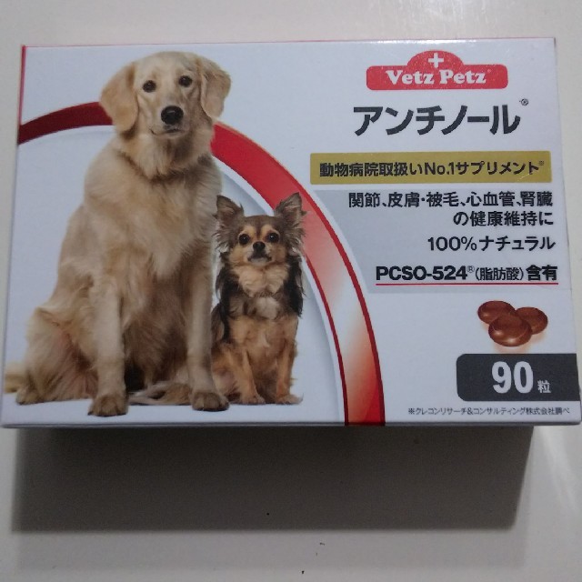 アンチノール 犬 残89粒