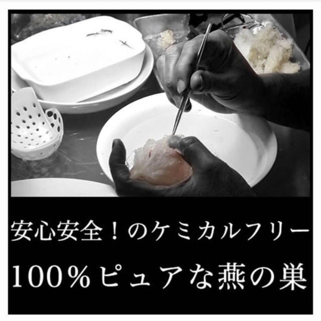 ツバメの巣 パウダー 燕條 100グラム 燕窩 食品/飲料/酒の健康食品(コラーゲン)の商品写真