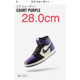 ナイキ(NIKE)のNIKE Air Jordan 1 PURPLE 28.0cm(スニーカー)