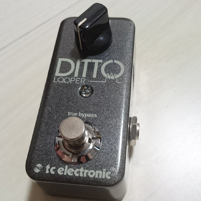 tc electronic  DITTO LOOPER 楽器のギター(エフェクター)の商品写真
