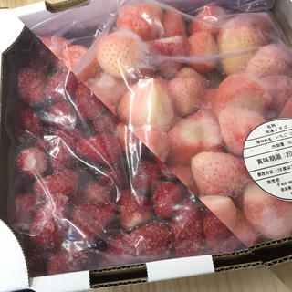 奈良県産 紅白 冷凍いちご 2kg(フルーツ)