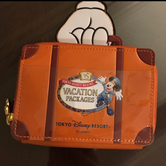 Disney(ディズニー)の☆ちぃ様専用☆ディズニーバケーションパッケージチケットフォルダー♬ エンタメ/ホビーのおもちゃ/ぬいぐるみ(キャラクターグッズ)の商品写真