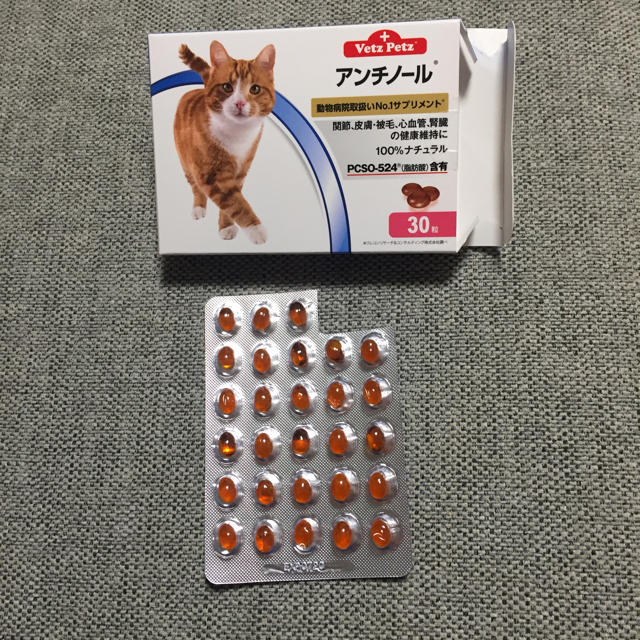 アンチノール 猫用 その他のペット用品(猫)の商品写真