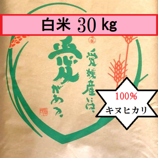 たあ0508様専用　お米　H30　愛媛県産キヌヒカリ　白米　30㎏ 食品/飲料/酒の食品(米/穀物)の商品写真