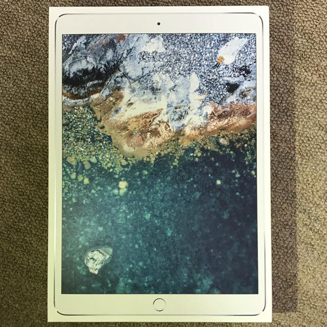 ふるさと割】 iPad - iPad pro10.5 早く売りたいため大特価 wifiモデル