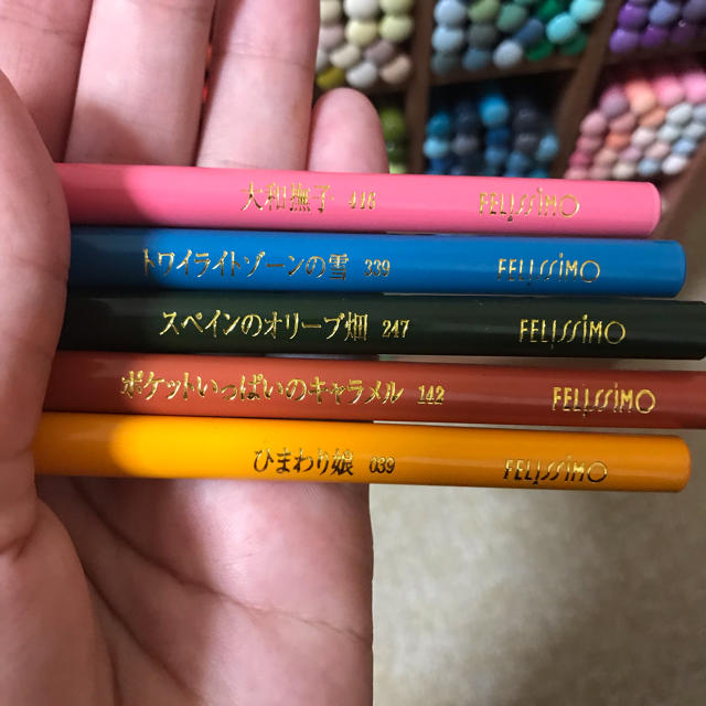 フェリシモ 500色色鉛筆