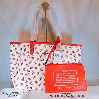 COACH Disney リバーシブル バッグ