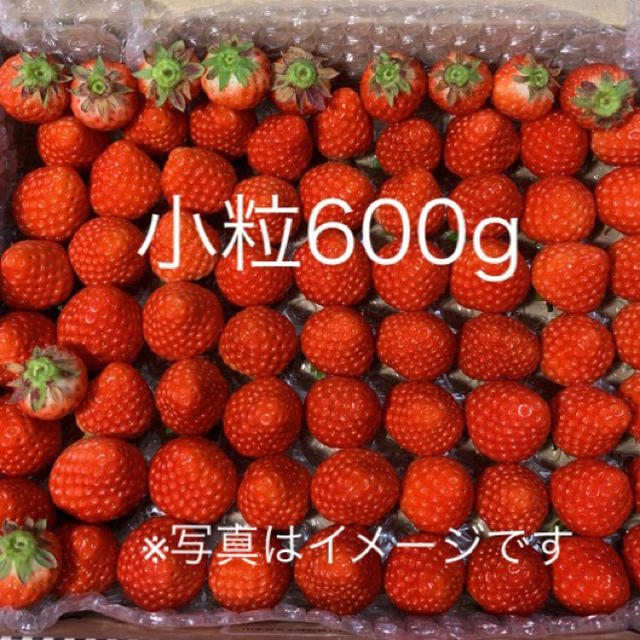 小粒ちゃん♡さがほのか苺600g●いちごイチゴ 食品/飲料/酒の食品(フルーツ)の商品写真