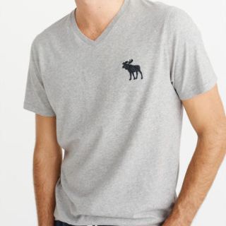 アバクロンビーアンドフィッチ(Abercrombie&Fitch)の閉店セール★超激安！★アバクロ･メンズビッグムースVネックＴ★Ｍ(Tシャツ/カットソー(半袖/袖なし))