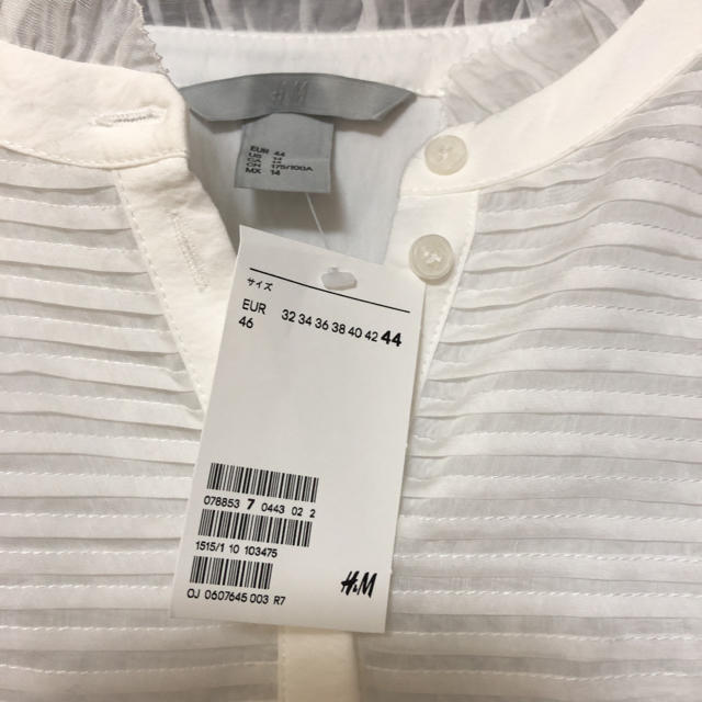 H&M(エイチアンドエム)のH &M フリルブラウス 新品 レディースのトップス(シャツ/ブラウス(長袖/七分))の商品写真