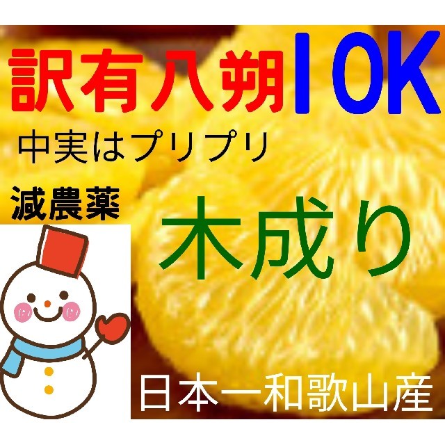 ⑤木成り八朔10㌔❤️訳有混合❤️和歌山自家栽培 食品/飲料/酒の食品(フルーツ)の商品写真