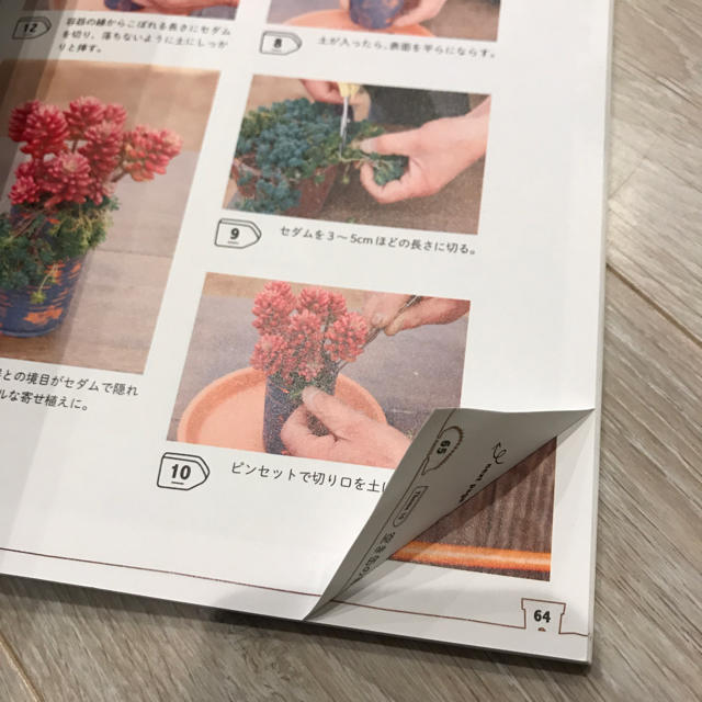 mm様専用  よくわかる多肉植物の育て方 ハンドメイドのフラワー/ガーデン(その他)の商品写真