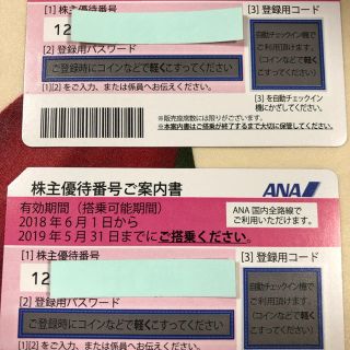 エーエヌエー(ゼンニッポンクウユ)(ANA(全日本空輸))のANA 株主優待券 2019年5月31日期限(その他)