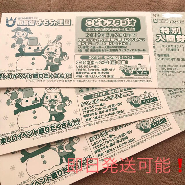 【りさ様専用】【送料込】東条湖 おもちゃ王国 特別入園券 3枚 チケットの施設利用券(遊園地/テーマパーク)の商品写真