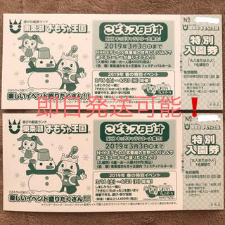 【送料込】東条湖 おもちゃ王国 特別入園券 2枚(遊園地/テーマパーク)