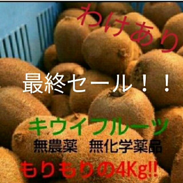 ☆最終セール☆　キウイフルーツ　4kg　有機栽培　訳あり 食品/飲料/酒の食品(フルーツ)の商品写真