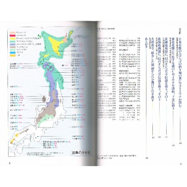  イワナの顔　日本全国58河川、ネイティブの岩魚92態「探査釣行」 エンタメ/ホビーの本(趣味/スポーツ/実用)の商品写真