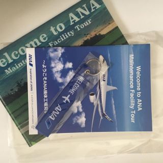 エーエヌエー(ゼンニッポンクウユ)(ANA(全日本空輸))のANA(航空機)