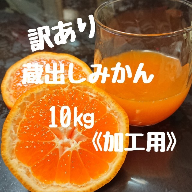 訳ありあり 蔵出しみかん 10㎏《加工用》 食品/飲料/酒の食品(フルーツ)の商品写真