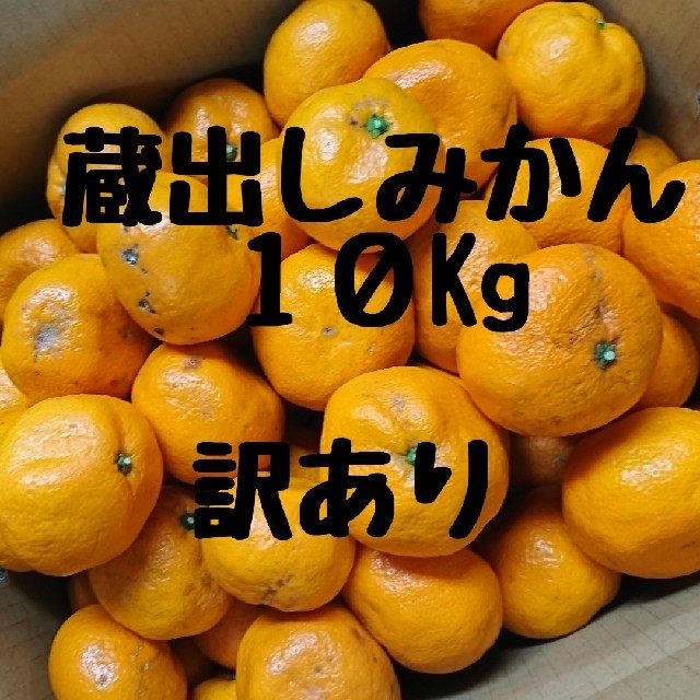 訳あり 蔵出しみかん 10Kg 和歌山産 農家直送③ 食品/飲料/酒の食品(フルーツ)の商品写真