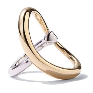 ESTNATION - 新品✴︎箱付✴︎シャルロットシェネ タートル リング
