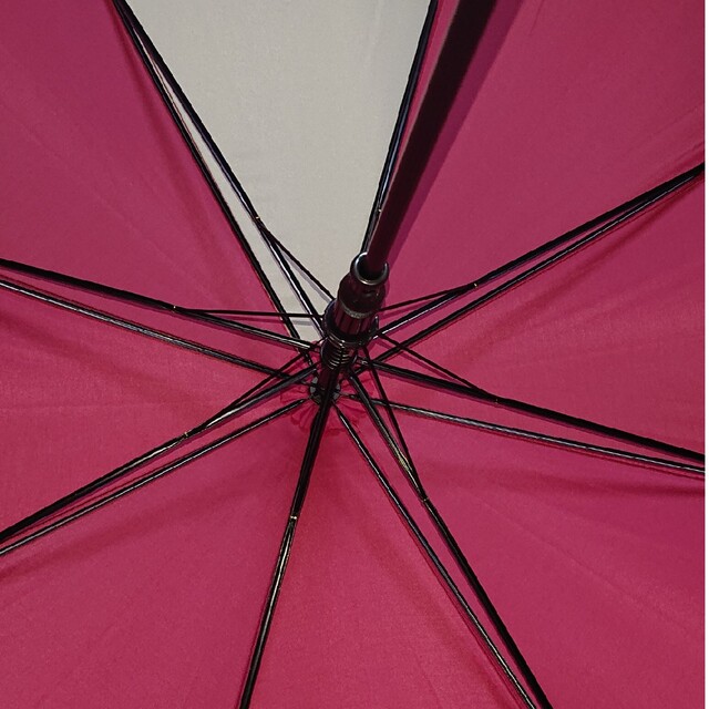 Disney(ディズニー)の東京ディズニーリゾートの傘‼️ レディースのファッション小物(傘)の商品写真