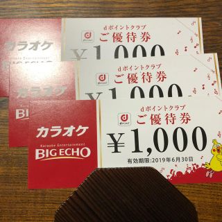 ビッグエコー 優待券3000円分(その他)