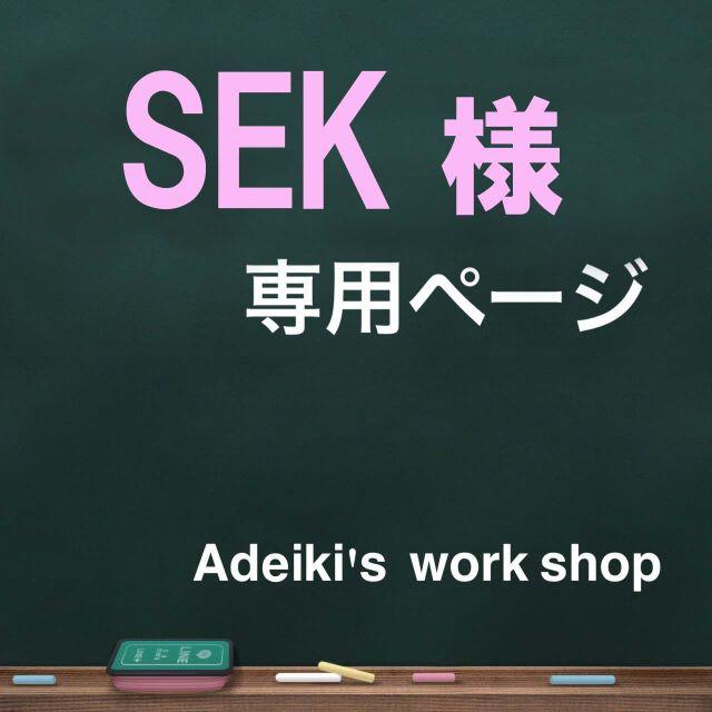 ＳＥ Ｋ様専用 メンズのファッション小物(名刺入れ/定期入れ)の商品写真