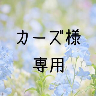 お米　H30　カーズ様専用  愛媛県産キヌヒカリ　玄米　30㎏(米/穀物)