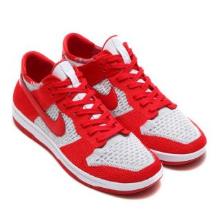 ナイキ(NIKE)のNIKE DUNK FLYKNIT ナイキ ダンク フライニット 28.0㎝ (スニーカー)