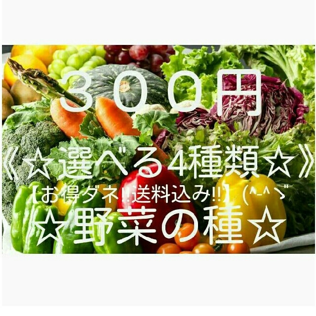 ｓｏｒａ様専用　　☆野菜の種☆ 食品/飲料/酒の食品(野菜)の商品写真