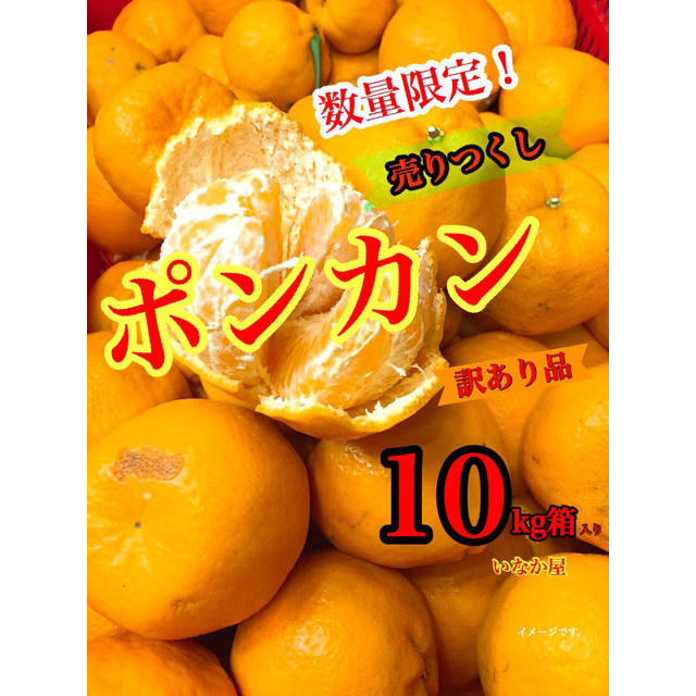 ポンカン 訳あり品 数量限定 早い者勝ち 食品/飲料/酒の食品(フルーツ)の商品写真