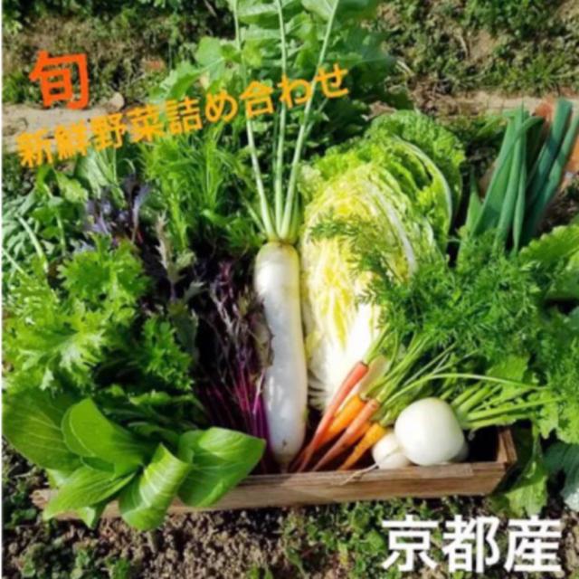 新鮮野菜詰め合わせ！京都 無農薬 減農薬野菜 今が旬なお野菜をお届け！ 食品/飲料/酒の食品(野菜)の商品写真