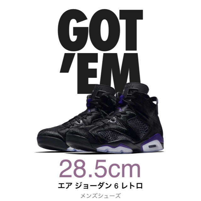 NIKE(ナイキ)のNIKE AIR JORDAN6 メンズの靴/シューズ(スニーカー)の商品写真