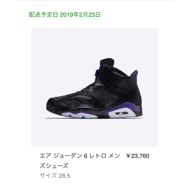 NIKE(ナイキ)のNIKE AIR JORDAN6 メンズの靴/シューズ(スニーカー)の商品写真