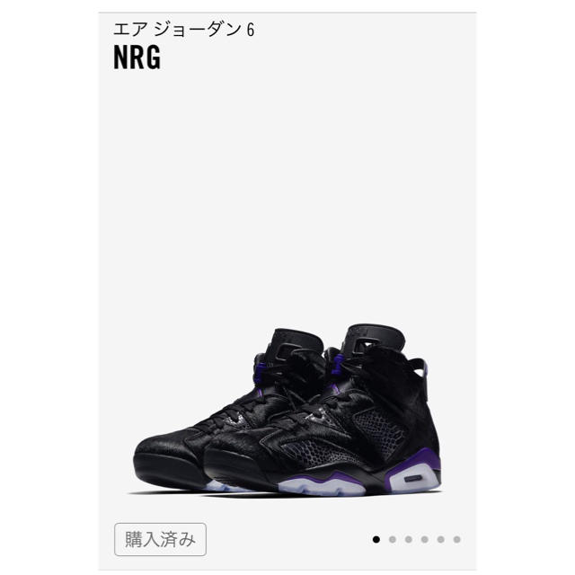 NIKE(ナイキ)のAir Jordan 6 28cm メンズの靴/シューズ(スニーカー)の商品写真