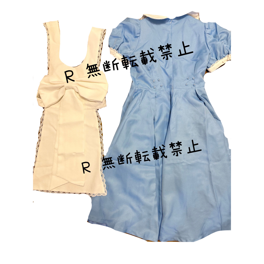 Secret Honey - ディズニー 仮装 ドレス ウィッグの通販 by r