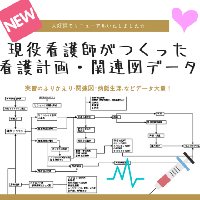 看護計画　関連図　看護記録　看護実習　アセスメント エンタメ/ホビーの本(健康/医学)の商品写真